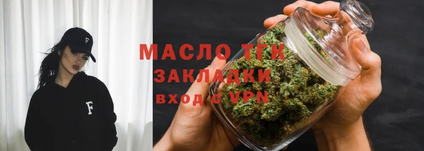 молекула духа Богородицк