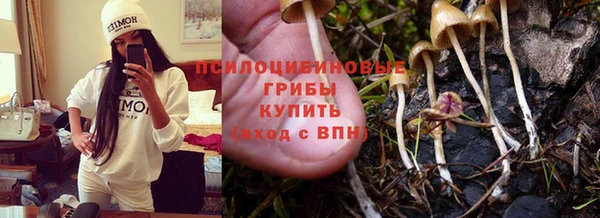 винт Богданович