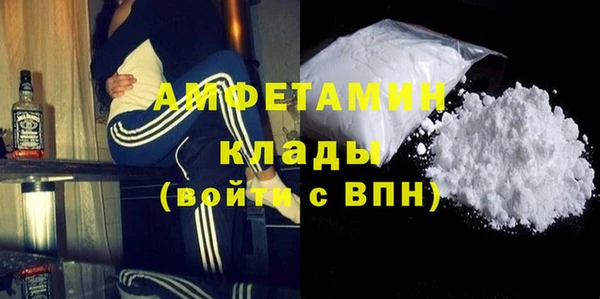 молекула духа Богородицк