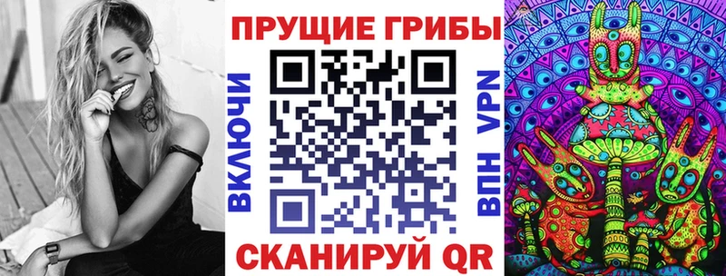 Купить  Чайковский  Псилоцибиновые грибы MAGIC MUSHROOMS 